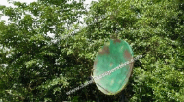 Fixed dishes